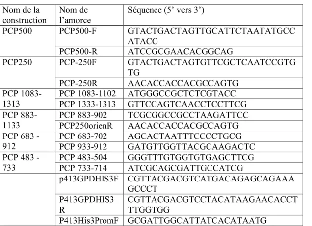 Tableau  1 :  Amorces  utilisées  pour  amplifier  les  séquences  de  PCP  et  HIS3  par  PCR 