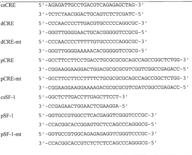 Table 1. Sequences of oligonucleotide primers employed in electromobility shift assays