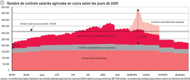 Figure 1 : Nombre de contrats décomptés par la MSA par journée de travail, en 2009  Source : Villaume (2011) 