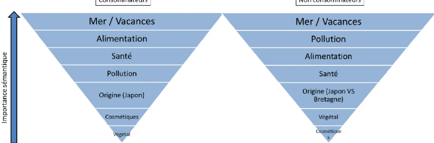 Figure 12 : Nuage de mots construit à partir des réponses à la question « Que vous évoque les algues ? » 