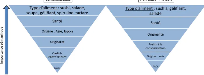 Figure 13 : Thématiques liées aux algues alimentaires pour les consommateurs d’algues (gauche) et les  non consommateurs (droite) 