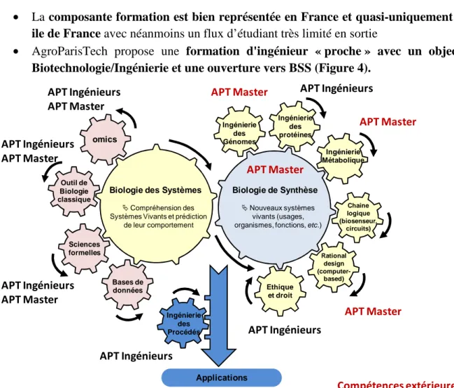 Figure 4: Intégration des champs disciplinaires BSS dans les formations spécifiquement liées à  l'AgroParisTech