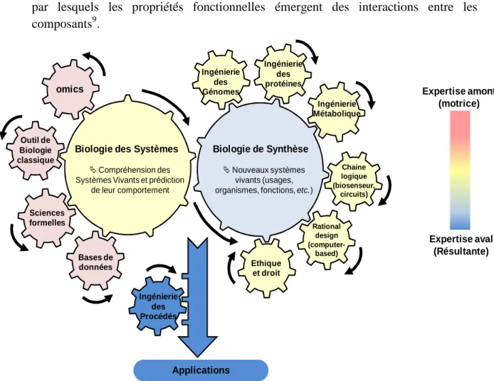 Figure  1:  Les  rouages  disciplinaires  qui  permettent  d'entrainer  la  biologie  des  systèmes  et  biologie de synthèse vers des visées appliquées