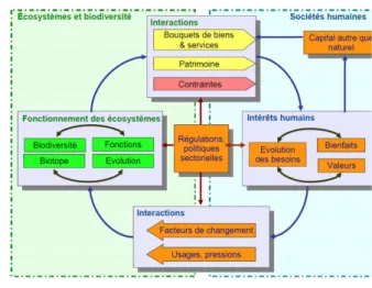 Figure 1 : Projet de cadre conceptuel pour EFESE du 30 août  2013 