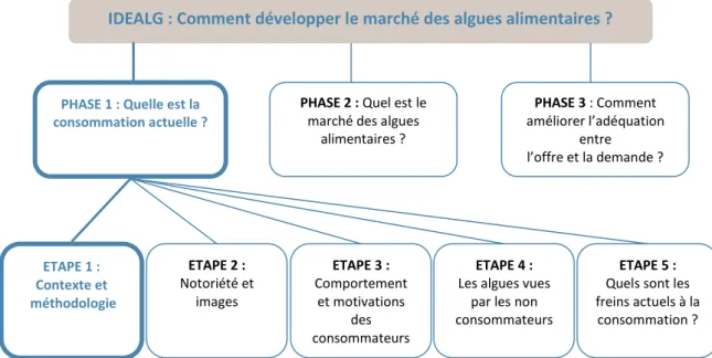 Figure 2 : Organisation des différentes phases de projet IDEALG au sein d’AGROCAMPUS OUEST IDEALG : Comment développer le marché des algues alimentaires ?