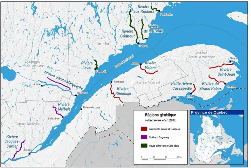 Figure 1. Localisation des 12 rivières échantillonnées dans le cadre du projet de suivi de l’état des populations de saumon atlantique  au Québec
