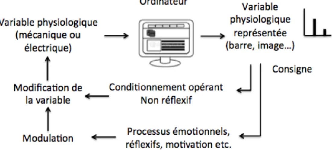 Figure   2   :   Complexification   du   modèle   de   la   figure   1A,   en   incluant   les   processus   réflexifs   et   non   réflexifs,   la    motivation   et   l’émotion