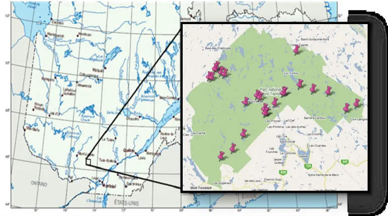 Figure  2.1  :  Localisation  du  parc  national  du  Mont-Tremblant.  Les  points  roses  représentent les sites d’échantillonnages (lacs, étangs et ruisseaux)