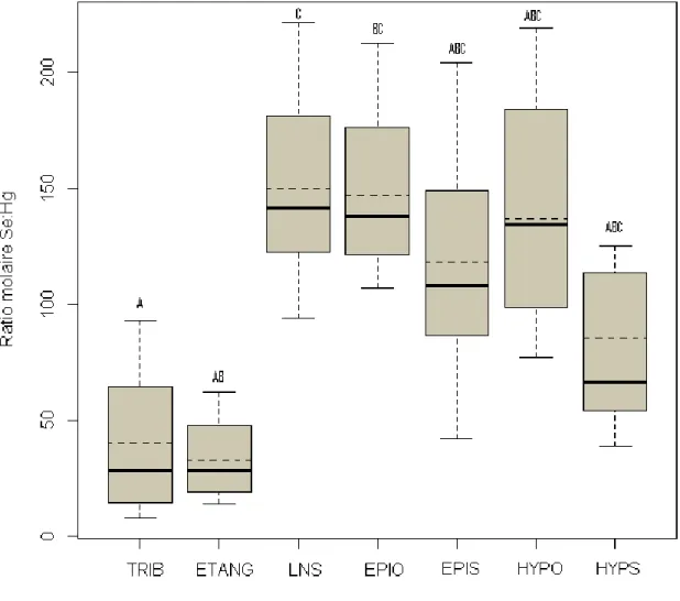 Figure 3.12 : Boîtes à moustaches montrant les valeurs moyennes du ratio Se : Hg pour  les  ruisseaux  (TRIB),  les  étangs  (ETANG),  l’épilimnion  des  lacs  stratifié  avec  hypolimnion  oxygéné  (EPIO)  ou  suboxique  (EPIS),  l’hypolimnion  des  lacs 