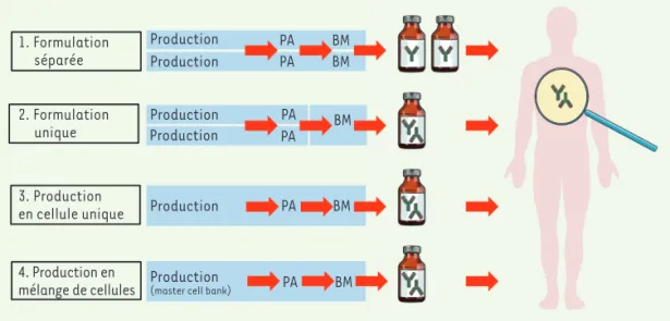 Figure 2. Différentes  stratégies pour produire  un biomédicament (BM)  représentant un mélange  d’anticorps  thérapeu-tiques, à partir de deux  principes actifs (PA)  anti-corps