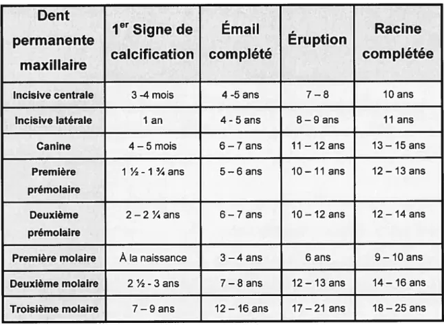 Tableau III Stades cléveloppementaïtx des dents permanentes maxillaires (adapté de AsÏi, 1984)