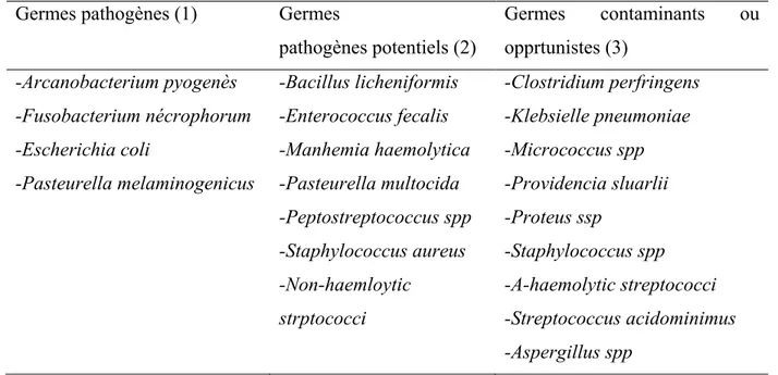 Tableau 1 : Bactéries pouvant être isolées dans l’utérus (William et al., 2005) 