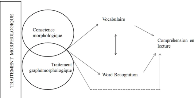 Figure 2.1 : Traitement morphologique (Berthiaume et Daigle, 2012) 