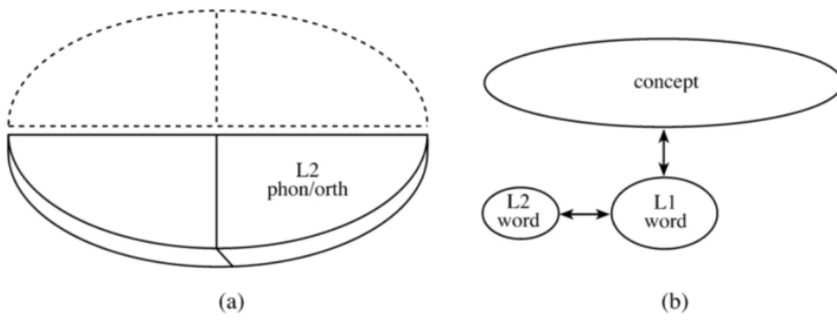 Figure 2.3 : Stade formel (Jiang, 2000) 