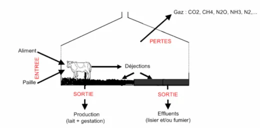 Figure 9 : Bilans entrées/sorties au niveau d’un bâtiment de vaches laitières (Brachet, 2007) 