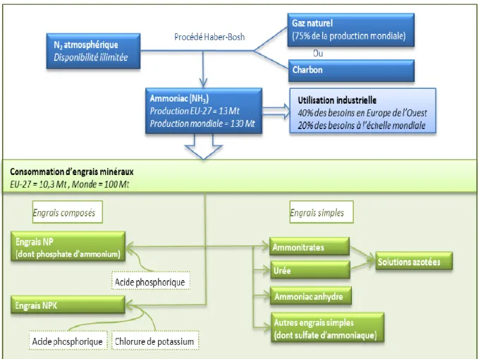 Figure 8. Le processus de fabrication des engrais minéraux azotés 