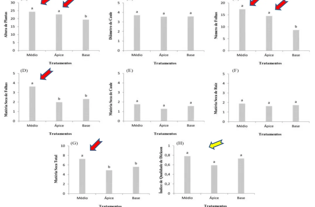 Figura 1. Altura de planta (A), diâmetro do caule (B), número de folhas (C), matéria seca de folhas (D), matéria seca de caule (E), matéria seca de raiz (F), matéria seca  total (G) e índice de qualidade de Dickson (H) em mudas de café conilon produzidas a