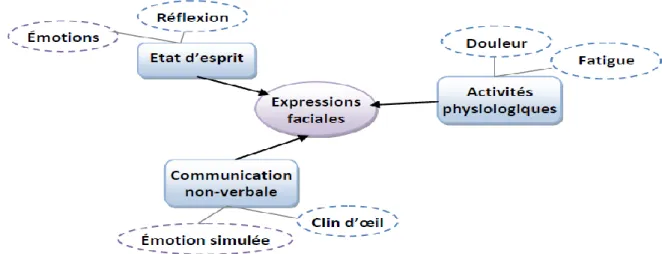 Figure 5 - Relation entre expression faciale et émotion   [OUA12]