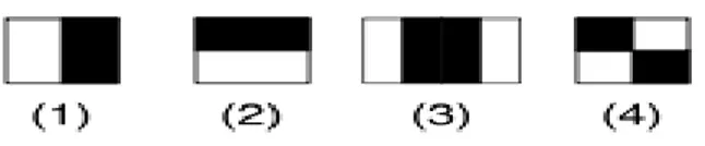 Figure 13 - Un exemple des premières caractéristiques pseudo-Haar utilisées par Viola et Jones en 2001