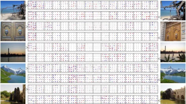 Figure II.8 : Images et descripteurs VLAD correspondants, fork=16 centroids  (D = 16 x 128).Les composants du descripteur sont représentés comme SIFT, avec des 