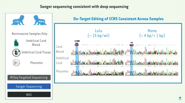 Figure 1.  Reproduction par- par-tielle d’une diapositive  pré-sentée par Jiankui He à Hong  Kong [6], montrant la  confir-mation par séquençage  San-ger des modifications  intro-duites au début du gène CCR5 des deux enfants