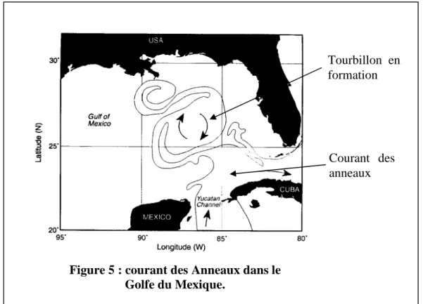 Figure 5 : courant des Anneaux dans le   Golfe du Mexique. 