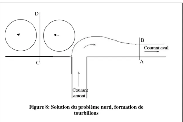 Figure 8: Solution du problème nord, formation de  tourbillons 