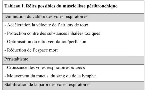 Tableau I. Rôles possibles du muscle lisse péribronchique. 