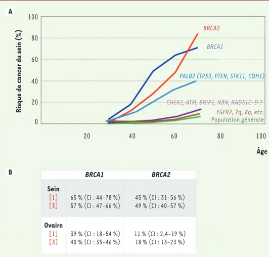 Figure 2. A. Risque de cancer du sein selon  les gènes présentant une mutation et l’âge  de la patiente