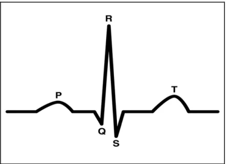 Figure 1.1 Schématisation d’un électrocardiogramme normal 