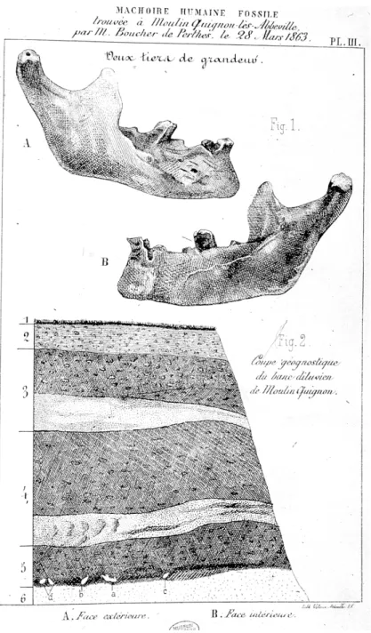 Fig. 7. Mâchoire et coupe de Moulin-Quignon. Antiquités celtiques et antédiluviennes, III, planche 3