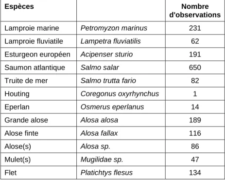 Tableau  I  :  Liste  des  espèces  ou  taxons  pris  en  compte  dans  la  base  de  données  historiques  et  nombre d'observations bancarisées