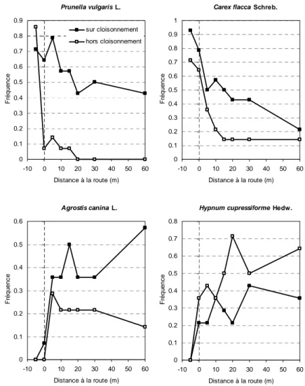 Figure 7. Profil de réponse de quatre espèces (fréquence) en fonction de la distance à la route forestière et de la  position  par  rapport  au  cloisonnement  en  chênaie  sessiliflore  de  moins  de  6 m  de  haut  (étude  2)  :  Prunella  vulgaris  et  