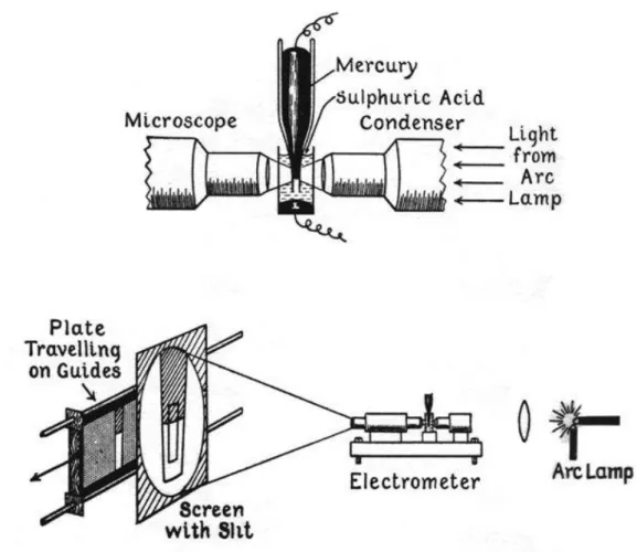 Figure  1.  Dispositif  d’enregistrement  cinématographique  du  physiologiste  britannique,  Prix  Nobel  de  physiologie  ou  médecine 1932, Edgar Adrian, pour les courants d’action unitaires par un électromètre capillaire à mercure associé à une  amplif
