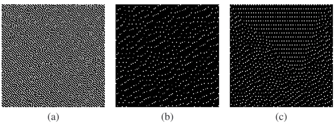 Figure 2.9: Artéfacts engendrés par la méthode de Floyd-Steinberg. (a) Structures en labyrinthes