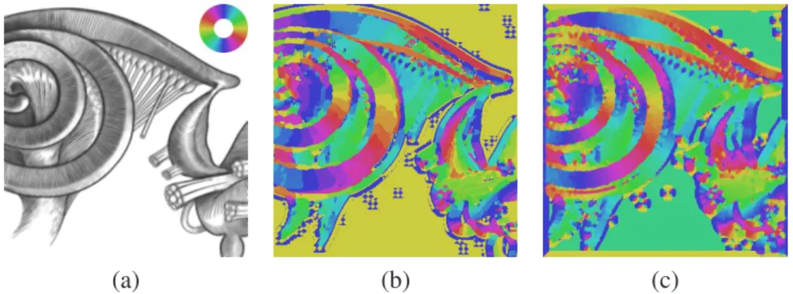 Figure 3.2: Orientation locale. L’orientation est donnée par la couleur correspondante sur l’anneau coloré