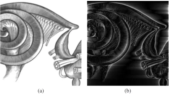 Figure 3.3: La transformée de Hilbert résulte en un déphasage de 90˚ de toutes les fréquences