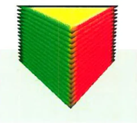 FIG. 2.10 — Chaque prisme est découpé en un ensemble de polygones parallèles. Image tirée de [DNO4].