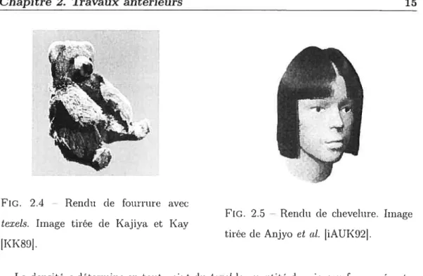 FIG. 2.5 — Rendu de chevelure. Image tirée de Anjyo et ai. jiAUK92].
