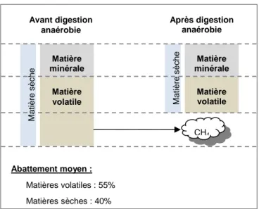Figure 3 : Dégradation de la matière sèche lors de la digestion anaérobie des boues  4.1.3 La production de biogaz 