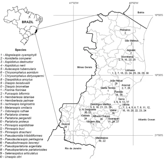 Figure 1. Map of the State of Espírito Santo, Brazil, showing municipalities where Diaspididae species (1–30) were collected in this study, 2003–2007
