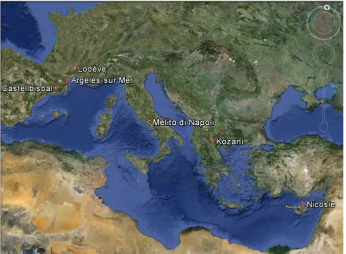 Figure 4 : Carte localisant les villes avec un retour de questionnaire (Source : Google Earth) 
