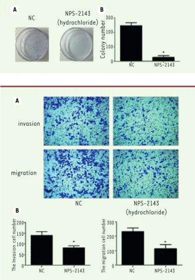 Figure 3. NPS-2143 significantly decreases proliferation of  M14 cells.  Twenty-four hours after treatment, the  prolifera-tion of M14 cells was significantly decreased ( * P &lt; 0.05)