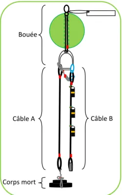 Figure  6.  Présentation  des  diverses  composantes  du  mouillage  pour  les  enregistreurs de température 