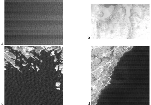 Figure 18 : Exemples d’artefacts des images satellite LANDSAT : a) banding, b) bruit impulsif, c)  bruit cohérent et d) effet de mémoire