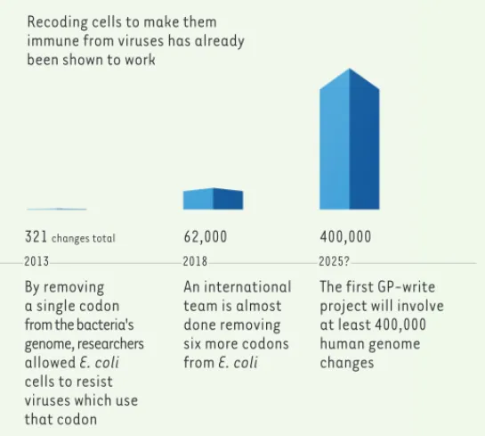Figure 1. Comparaison du recodage d’Escherichia coli pour un codon (à gauche),  sept codons (au centre), avec le recodage du génome humain (extrait du site de  HGP-write : http://engineeringbiologycenter.org/ultrasafecells/).