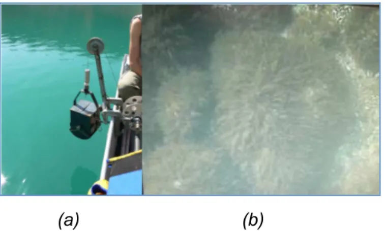 Figure 4. (a) Benne à sédiment de type Ekman. (b) Image obtenue avec la caméra  étanche : ici pierres recouvertes de plantes aquatiques