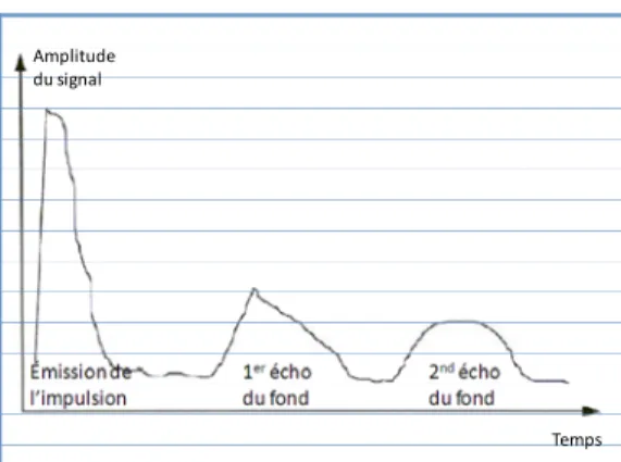 Figure 6 : visualisation du signal temporel enregistré par un échosondeur.    