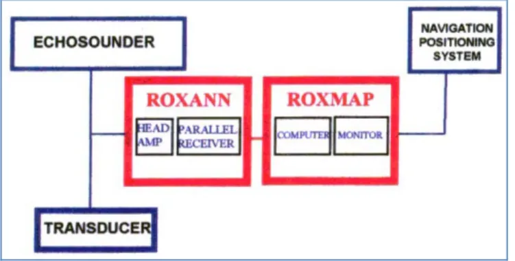Figure 8 : éléments et connexions du système RoxAnn (Chevillon, 2000). 