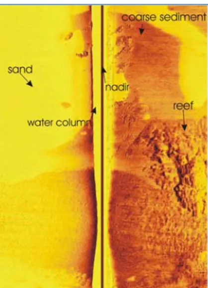 Figure 15. Image obtenue à partir d’un sidescan sonar (Hamilton, 2005). 